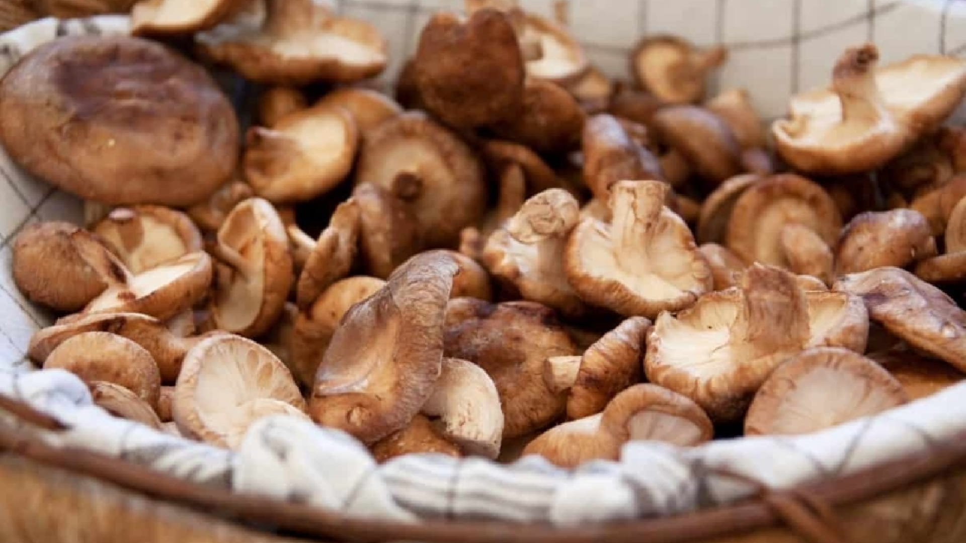 Que comer en la Vall de Boí